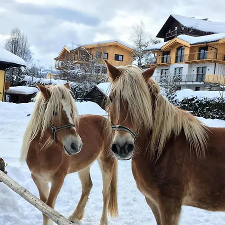 Apartman Bergblick Werfenweng