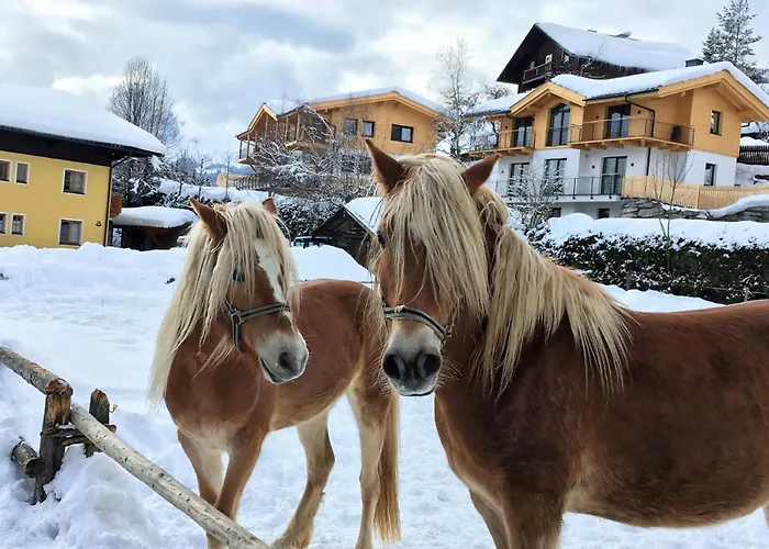Bergblick * Werfenweng